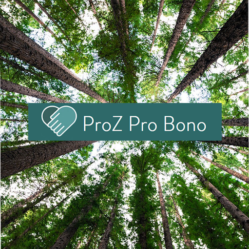 Bono Translation
